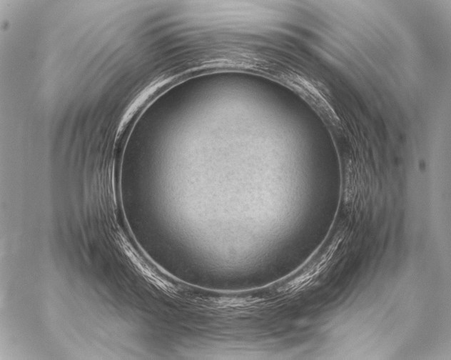 X0000059230796200510141036