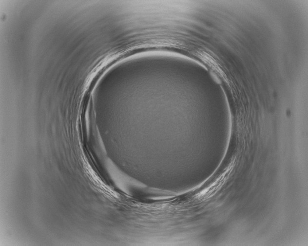 X0000059230797200510141036