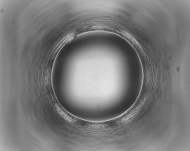 X0000059230801200510141036