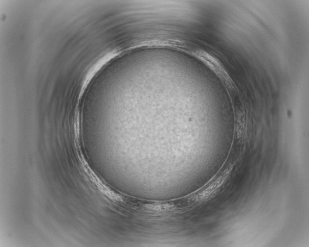 X0000059230804200510141036