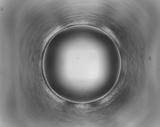 X0000059230805200510141036