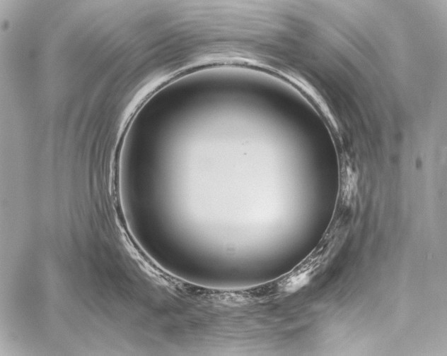X0000059230815200510141036