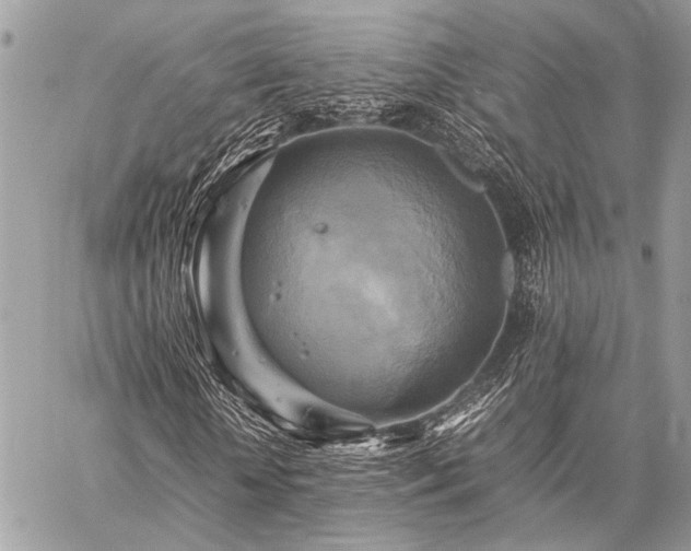 X0000059230818200510141035