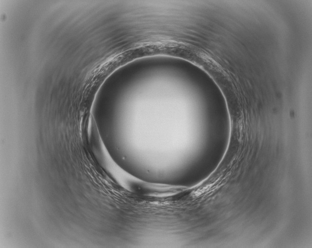 X0000059230822200510141035