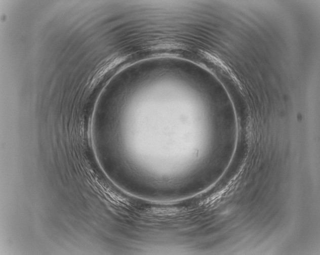 X0000059230825200510141035