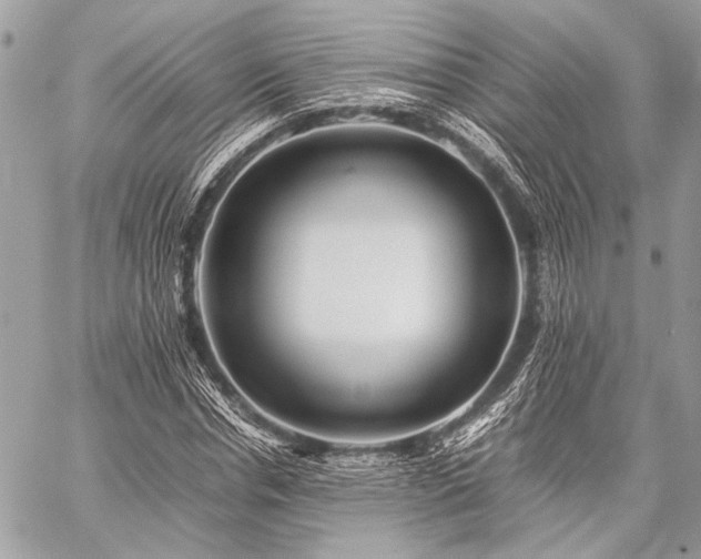 X0000059230826200510141035