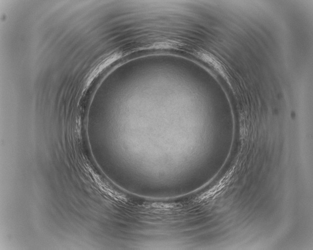 X0000059230827200510141035