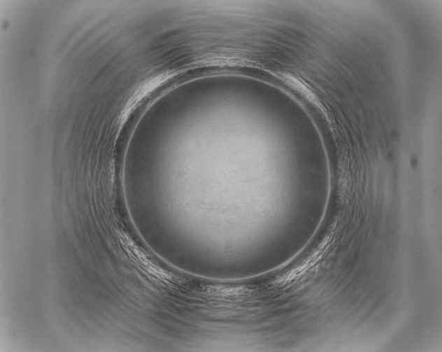 X0000059230831200510141035