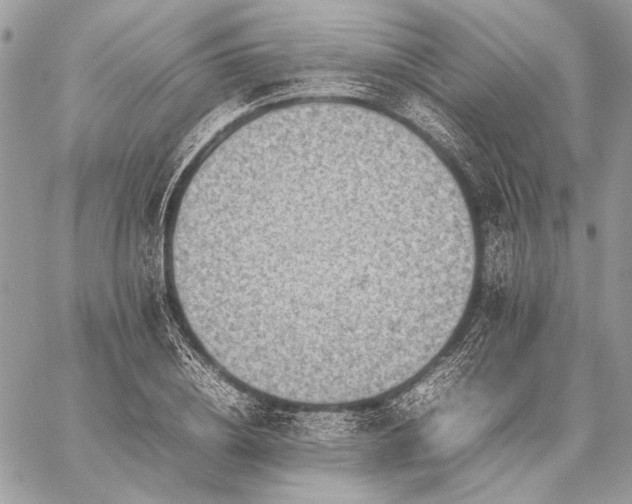 X0000059230836200510141035