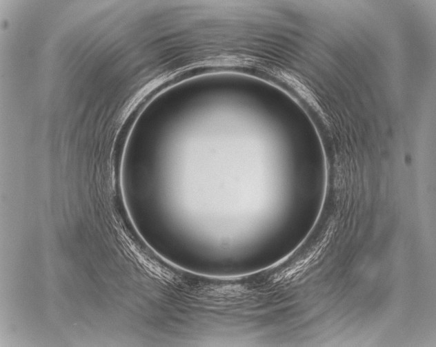 X0000059230837200510141035