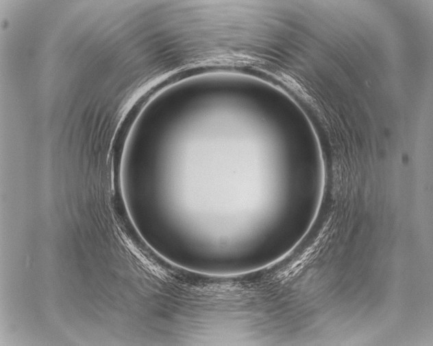 X0000059230838200510141035