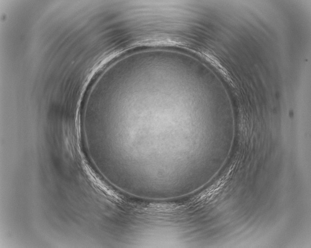 X0000059230840200510141035