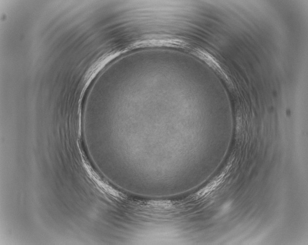 X0000059230844200510141035