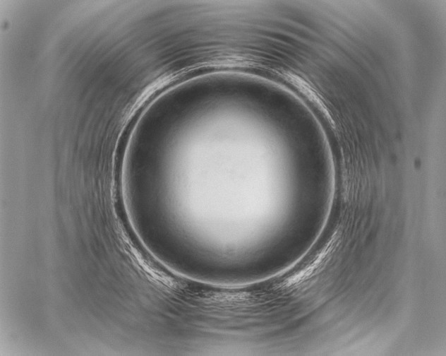 X0000059230845200510141035