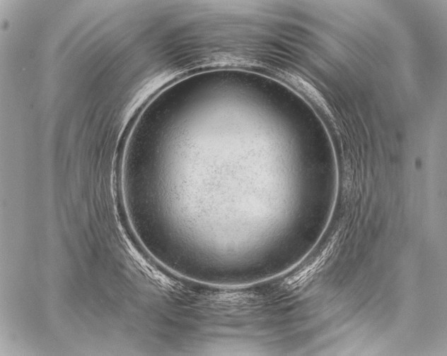 X0000059230847200510141035