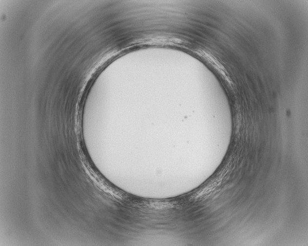 X0000059230848200510141035