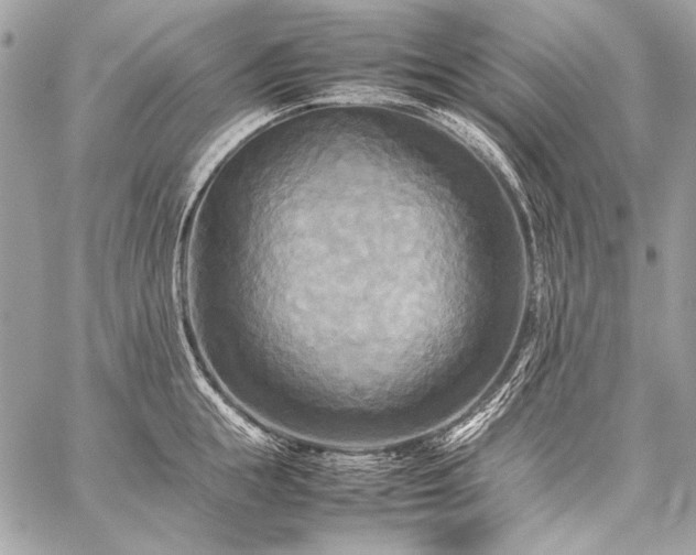X0000059230855200510141036