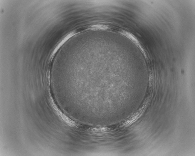 X0000059230859200510141036