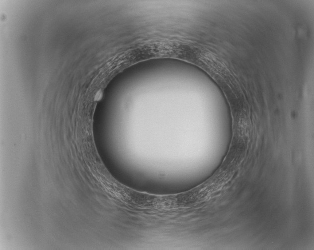 X0000059230865200510141035