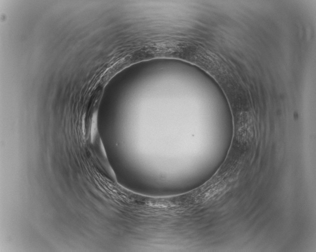 X0000059230866200510141035