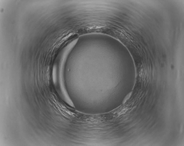 X0000059230868200510141035