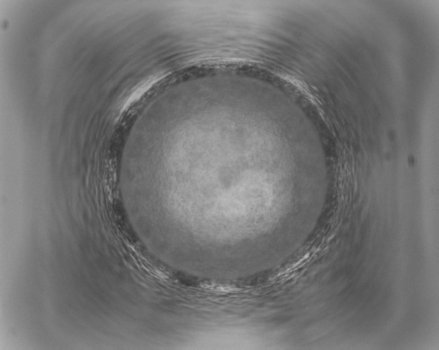 X0000059230871200510141035