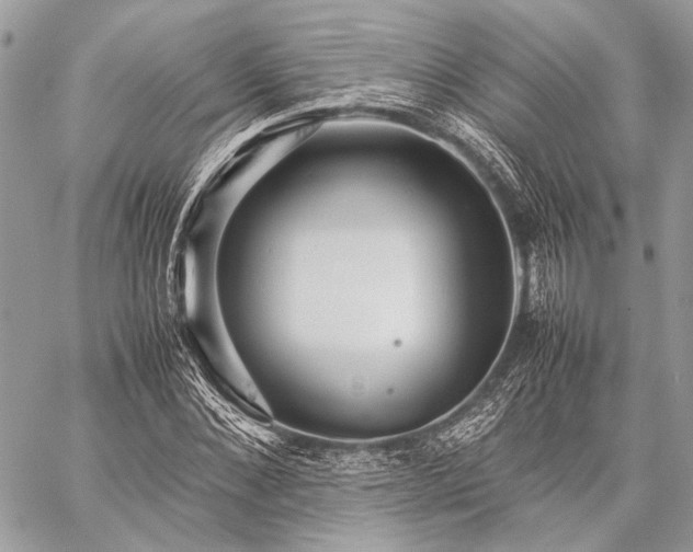 X0000059230876200510141035