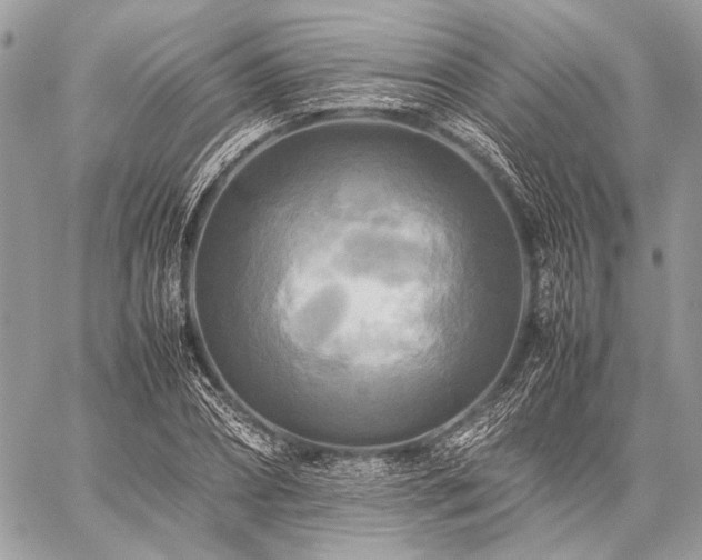 X0000059230882200510141035