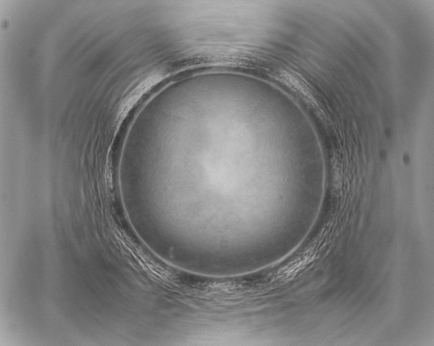 X0000059230883200510141035
