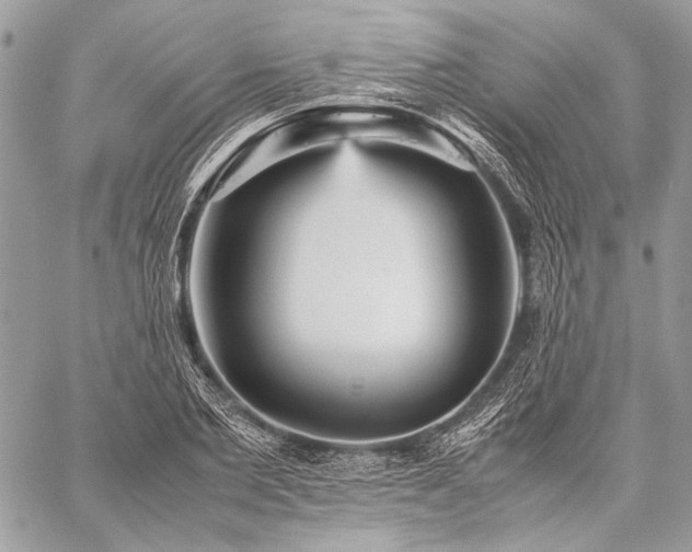 X0000059230885200510141035