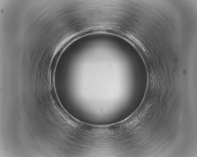 X0000059230886200510141035