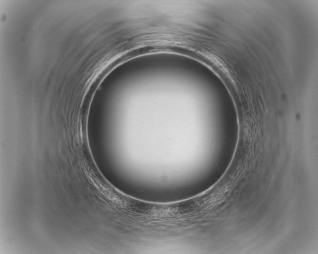 X0000059230887200510141035