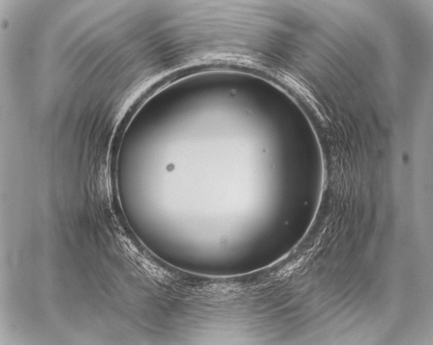 X0000059230888200510141035