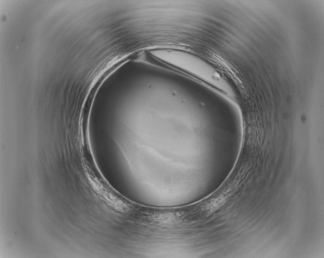 X0000059230892200510141034