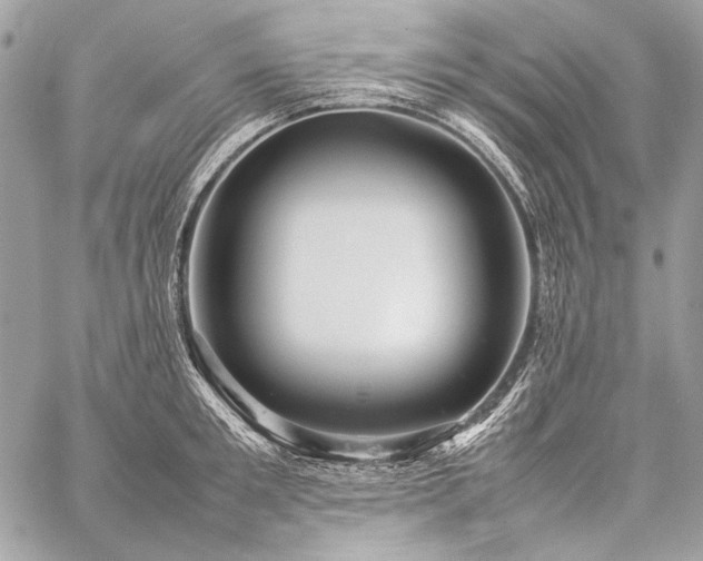 X0000059230901200510141034