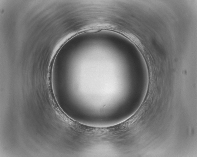 X0000059230912200510141034