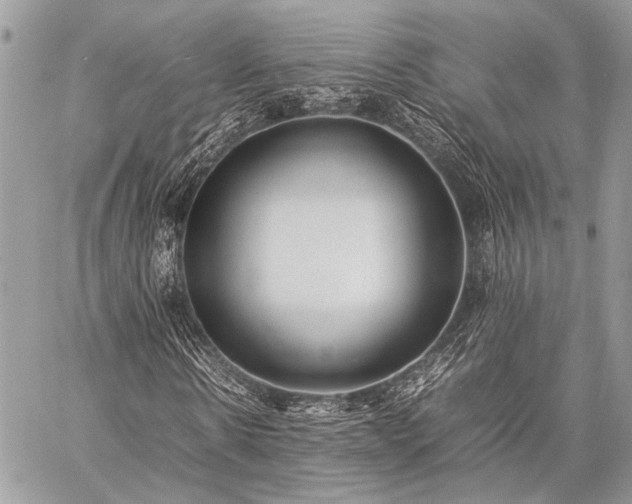 X0000059230914200510141033