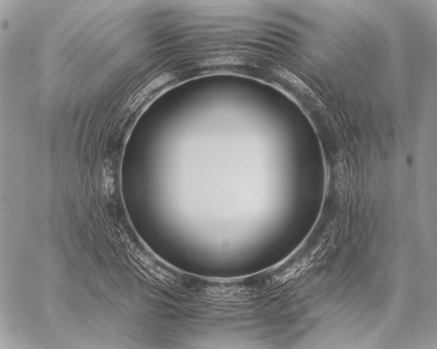 X0000059230929200510141034