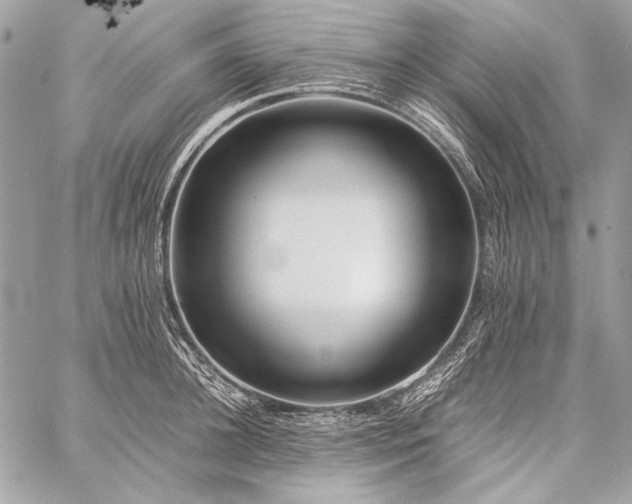 X0000059230948200510141034