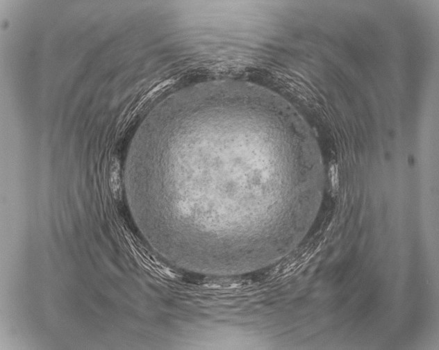 X0000059230963200510141033