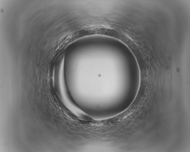 X0000059230965200510141033