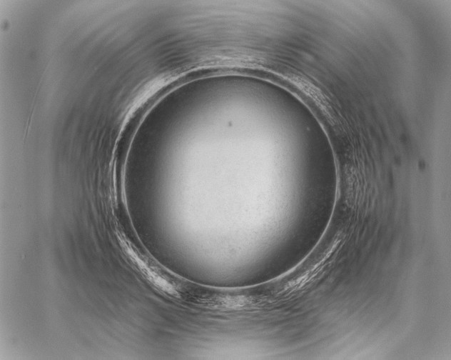 X0000059230982200510141033
