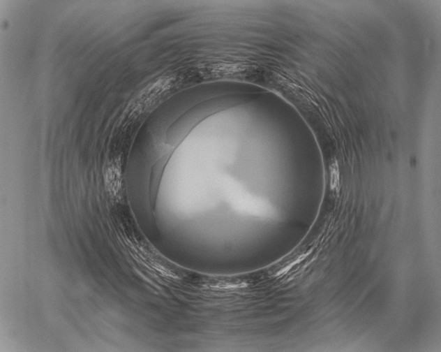 X0000059231011200510141032