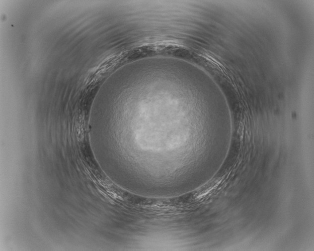 X0000059231014200510141032