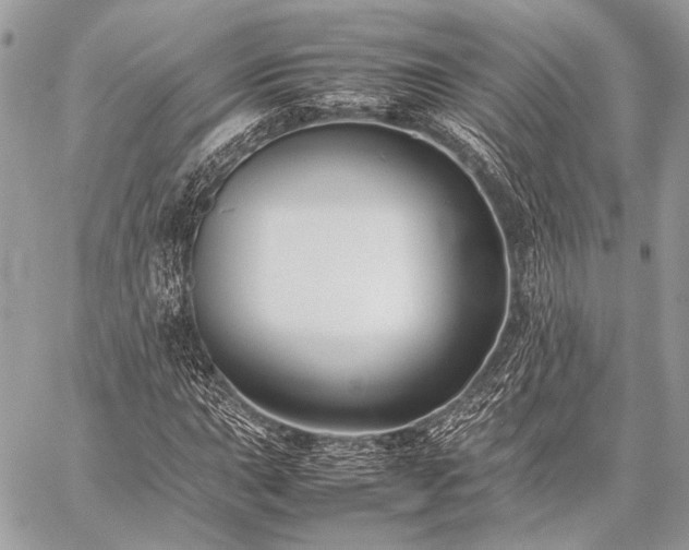 X0000059231015200510141032