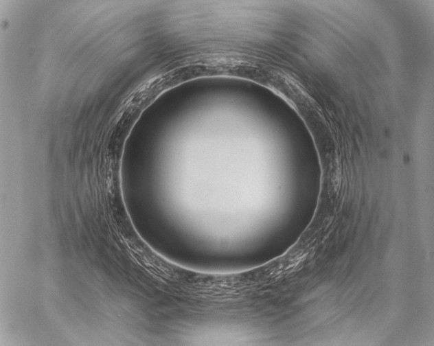 X0000059231016200510141032