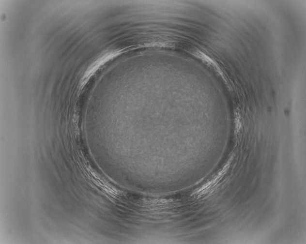 X0000059231019200510141032