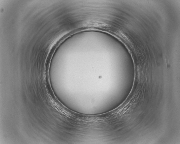 X0000059231020200510141032