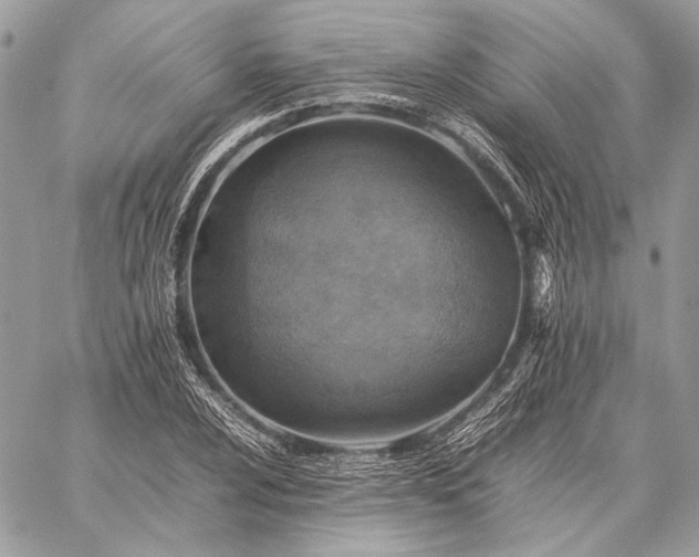 X0000059231024200510141032