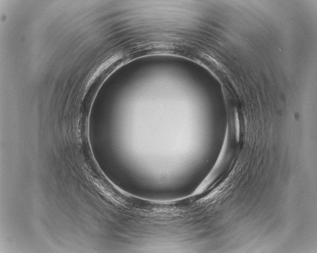 X0000059231026200510141032